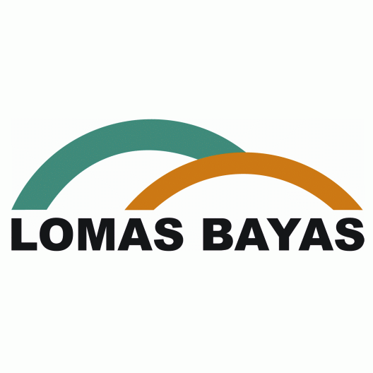 logo1