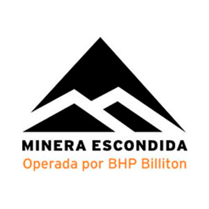 logo1